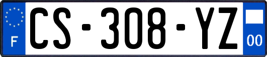 CS-308-YZ