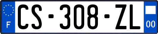 CS-308-ZL