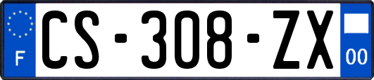 CS-308-ZX