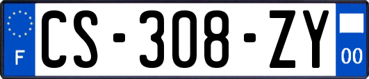 CS-308-ZY