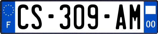 CS-309-AM