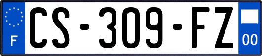 CS-309-FZ