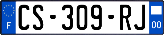 CS-309-RJ