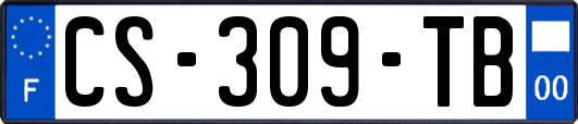 CS-309-TB