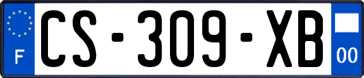 CS-309-XB