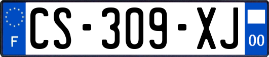 CS-309-XJ