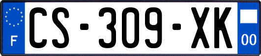 CS-309-XK