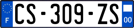 CS-309-ZS