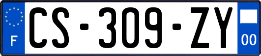 CS-309-ZY