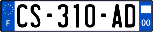 CS-310-AD