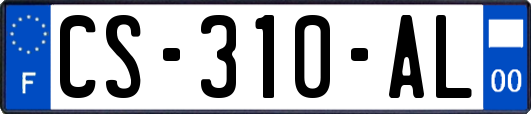 CS-310-AL