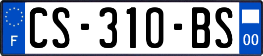 CS-310-BS