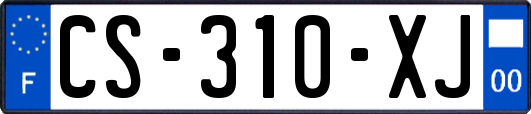 CS-310-XJ