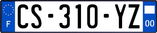 CS-310-YZ