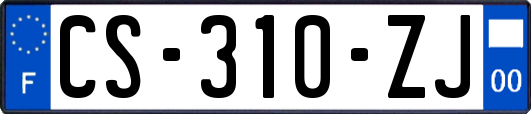 CS-310-ZJ