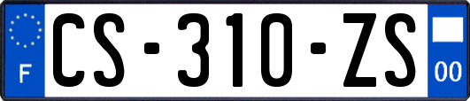 CS-310-ZS