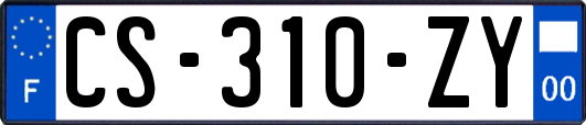 CS-310-ZY