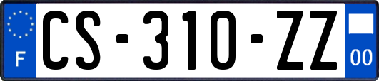 CS-310-ZZ