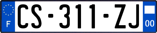 CS-311-ZJ