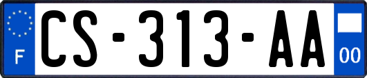 CS-313-AA