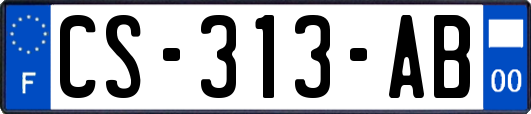 CS-313-AB