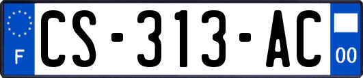 CS-313-AC