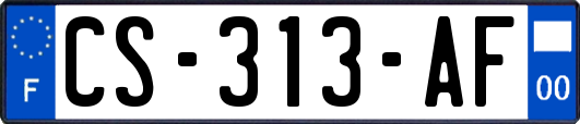 CS-313-AF