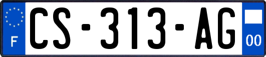 CS-313-AG