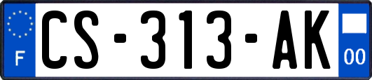 CS-313-AK