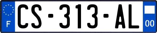 CS-313-AL