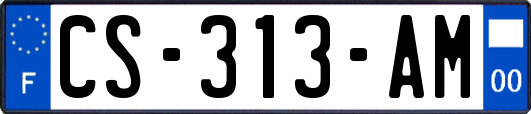 CS-313-AM