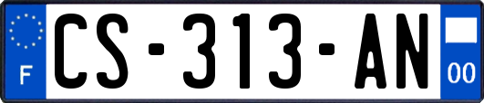 CS-313-AN