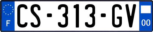 CS-313-GV