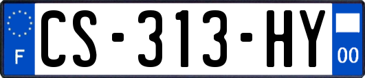 CS-313-HY