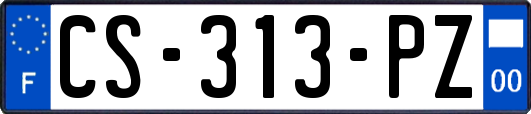 CS-313-PZ