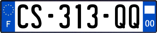 CS-313-QQ