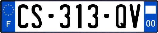 CS-313-QV