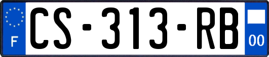 CS-313-RB