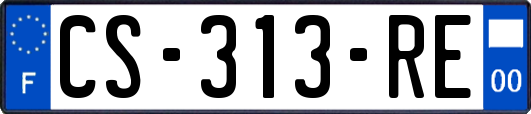 CS-313-RE
