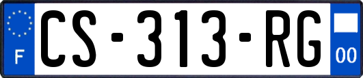 CS-313-RG