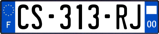 CS-313-RJ