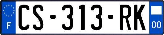 CS-313-RK