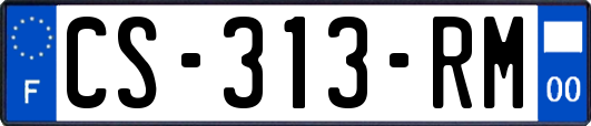 CS-313-RM