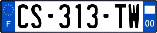 CS-313-TW