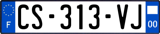 CS-313-VJ