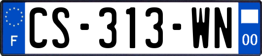 CS-313-WN