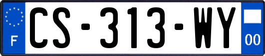 CS-313-WY