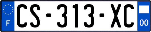 CS-313-XC