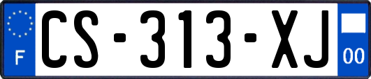 CS-313-XJ