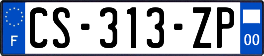 CS-313-ZP